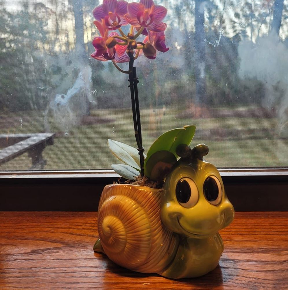 Meet your Posher, Edna